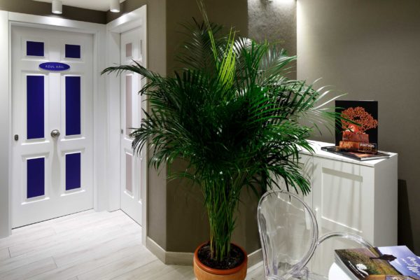 recepcion-habitacion-pension-plaza-nueva-bilbao recepcion-habitacion-pension-plaza-nueva-bilbao